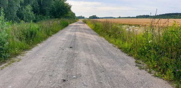 Old Town Road pathway through forrest — Stock Photo, Image