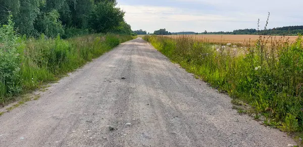 Forrest ile Old Town Road yolu