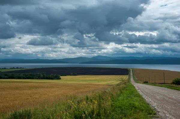 Yağ tohum tecavüz alan bahar Crantock Bay ve Kuzey Cornish sahil plaj doğru seyir