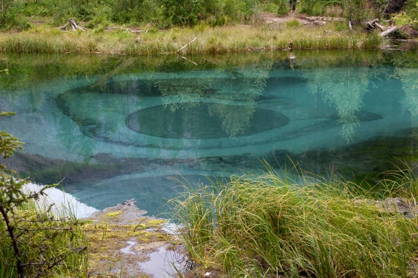 Gejzír Jezero Altaji Létě — Stock fotografie