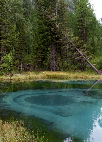 Geyser Lake Altai Summer — Stock Photo, Image