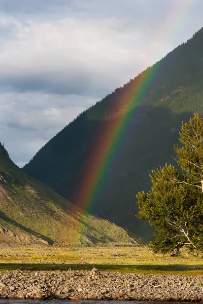 Gökkuşağı Chulyshman Vadisi Nde Dağlarda Altai Russia — Stok fotoğraf