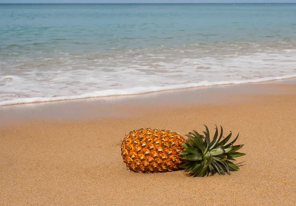 Ananas Liggend Het Zand Phuket Thailand — Stockfoto