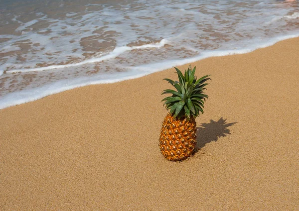 Ananas Sdraiato Sulla Sabbia Phuket Thailandia — Foto Stock