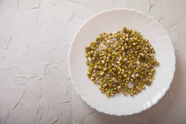 Fresh Sprouted Green Mung Bean Lie White Porcelain Plate White — Stock Photo, Image