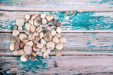 Küçük deniz kabukları mavi ahşap bir zemine saçılmıştır. Kürekleri kopyala