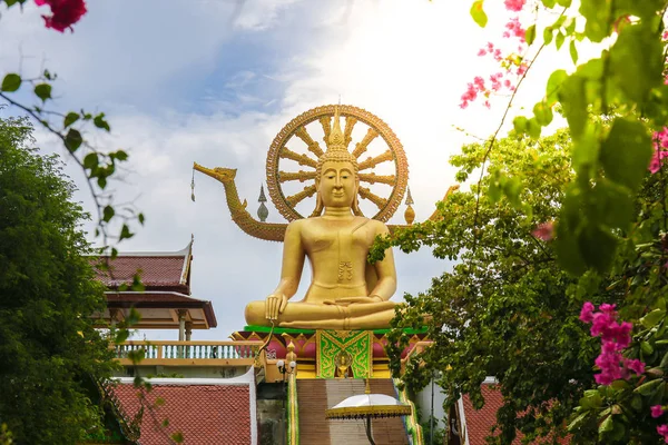 サムイ島 タイのワット Phra Yai が敬意を払う大フラワー フレームとステップはしご それは平和な心の信念 — ストック写真
