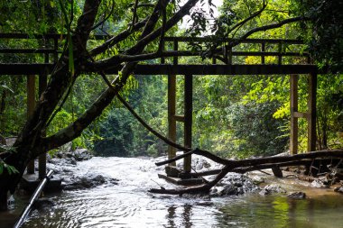 Samui Adası, Tayland, Thailand, küçük bir şelale üzerinde köprü.