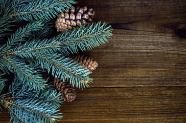 Çam dalları ve koniler ahşap arka plan üzerinde