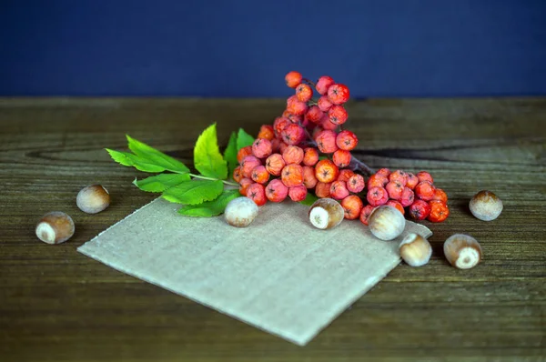 Komposition mit Vogelbeeren und Haselnüssen auf hölzernem Hintergrund — Stockfoto