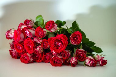 Bir buket kırmızı ve beyaz gül sade bir arka planda yatıyor.