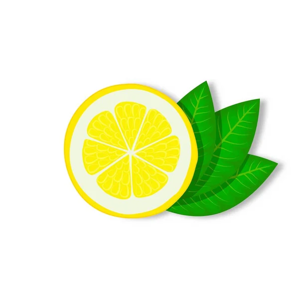 Slice Lemon Green Leaves White Background Vector Illustration Eps — Stock Vector