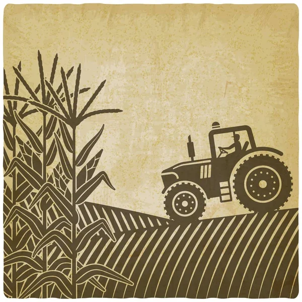 Agricultural work in corn field vintage background illustration — Stock Vector