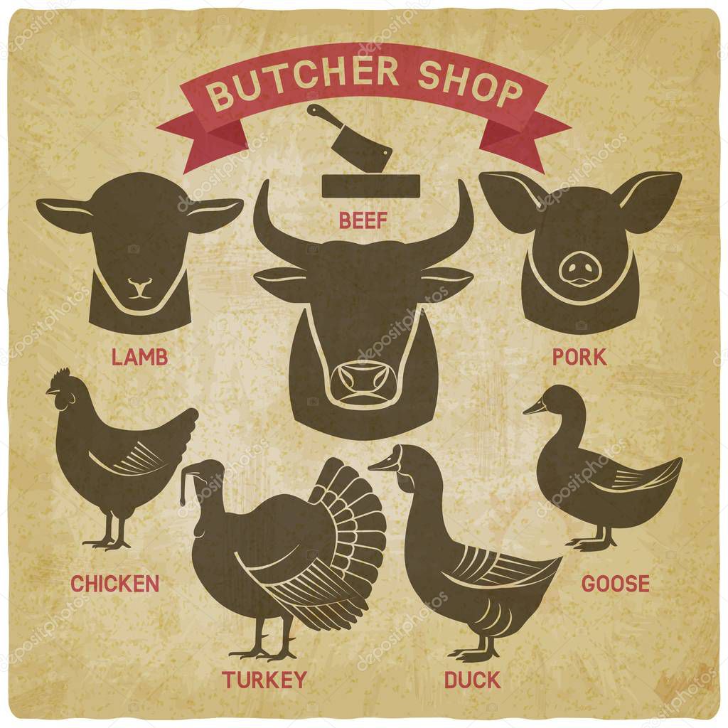 Silhouettes of animals set. butcher shop icons vintage background. vector illustration - eps 10