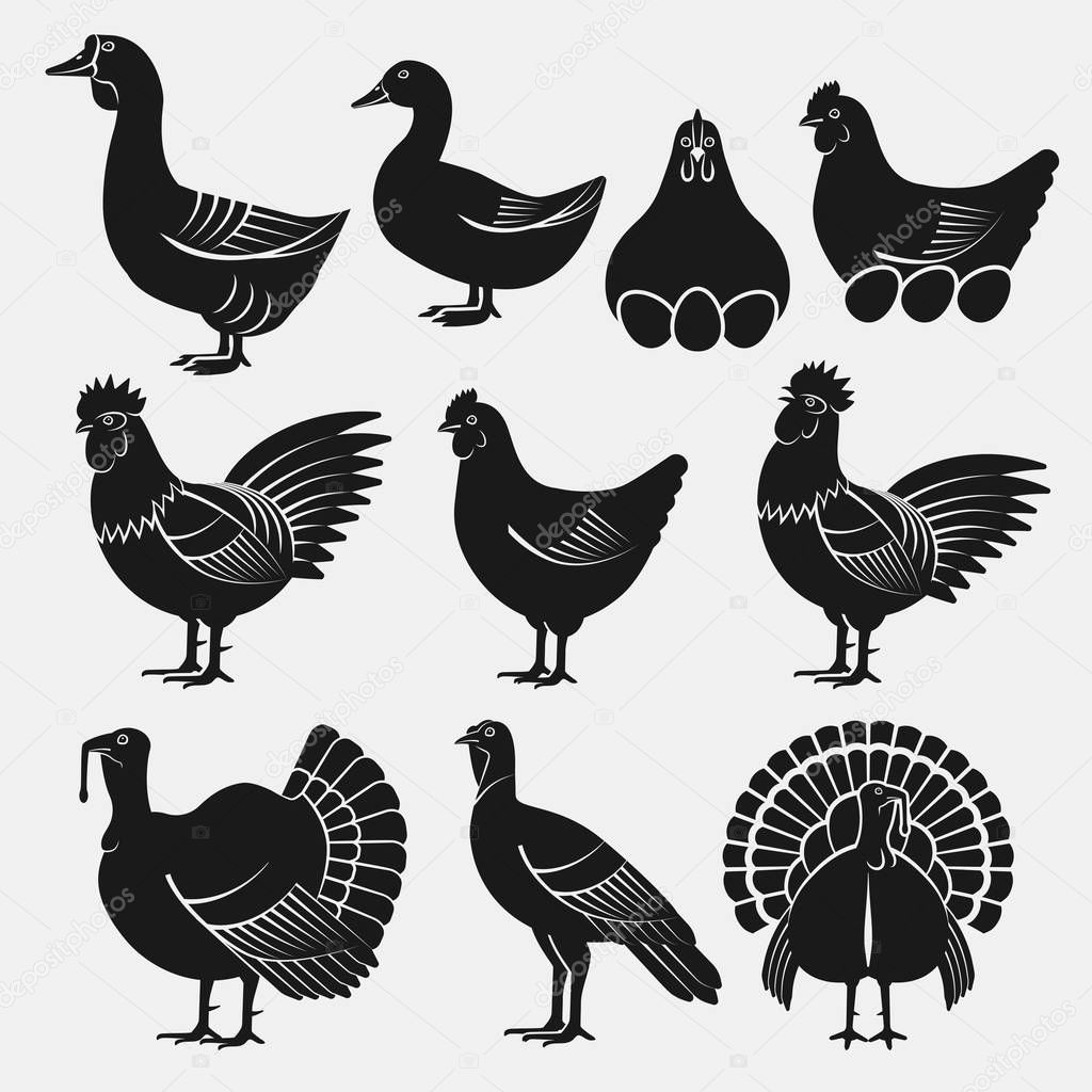 Poultry silhouettes set. Domestic fowls icons. vector illustration - eps 8