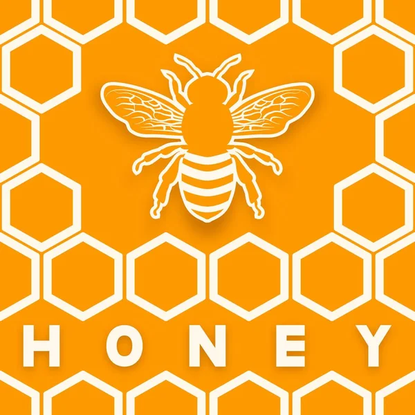 Honey Bee på Honeycomb orange bakgrund — Stock vektor