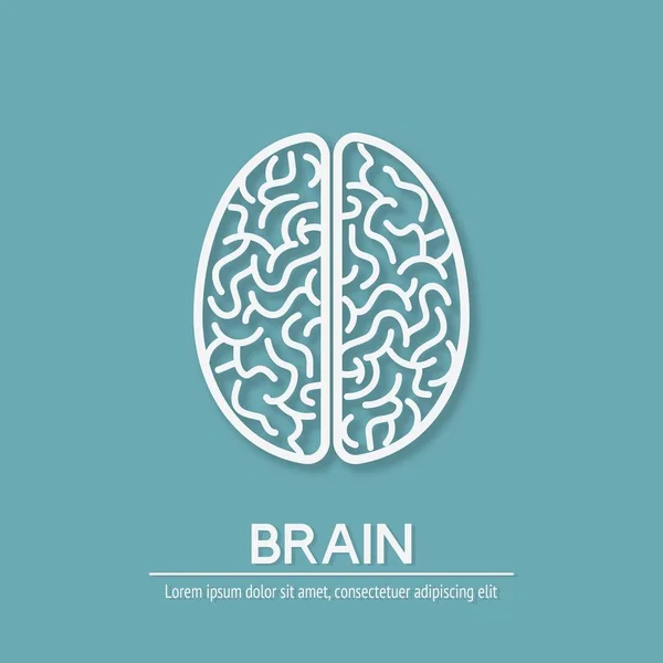 Cerveau humain symbole de créativité — Image vectorielle