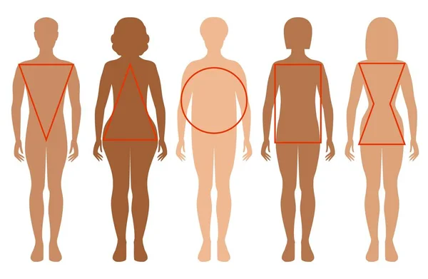 Cinco siluetas femeninas. Tipos de figuras femeninas — Vector de stock