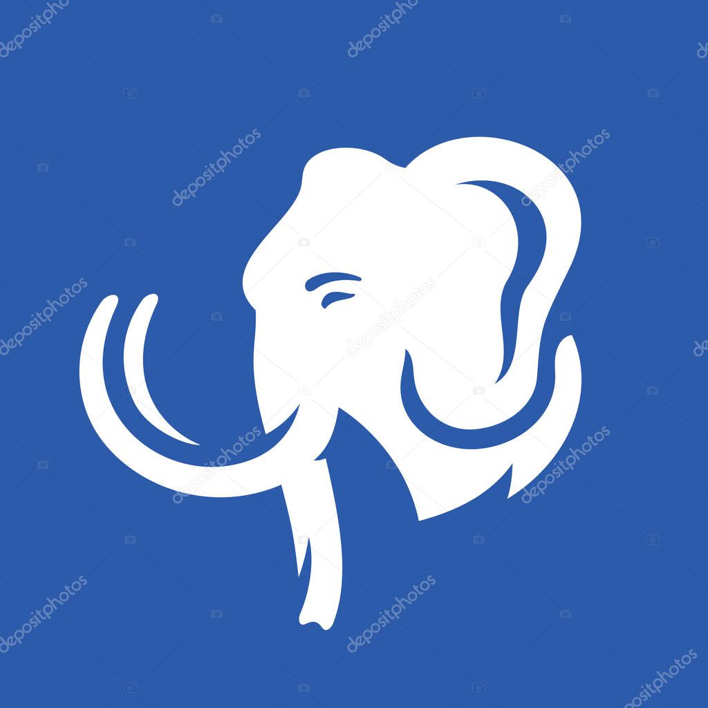 Animal with tusks isolated on dark background