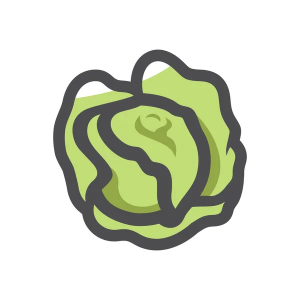 Green Cabbage Vegetable Vector icon Cartoon illustration. — Stock Vector