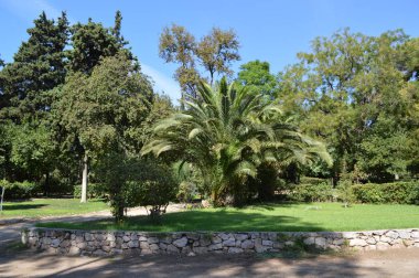Partenon ve Akropolis 25 Eylül 2013 tarihinde - Müzeler dış, iç ve sergiler, 1900'lerden önce