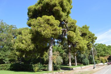 Partenon ve Akropolis 25 Eylül 2013 tarihinde - Müzeler dış, iç ve sergiler, 1900'lerden önce