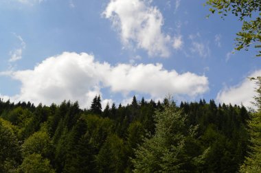 Batı Rodop Dağları Ormanı'nda, Orpheus Dağı (Bulgaristan)