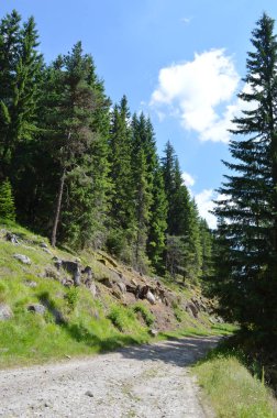 Batı Rodop Dağları Ormanı'nda, Orpheus Dağı (Bulgaristan)