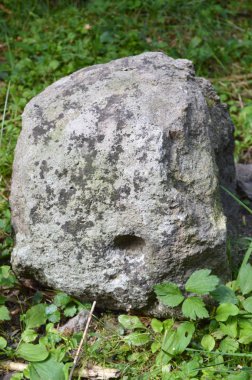 Batı Rodop Dağları Ormanı'nda, Orpheus Dağı (Bulgaristan)