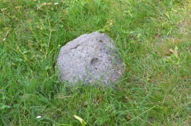 Batı Rodop Dağları Ormanı'nda, Orpheus Dağı (Bulgaristan)