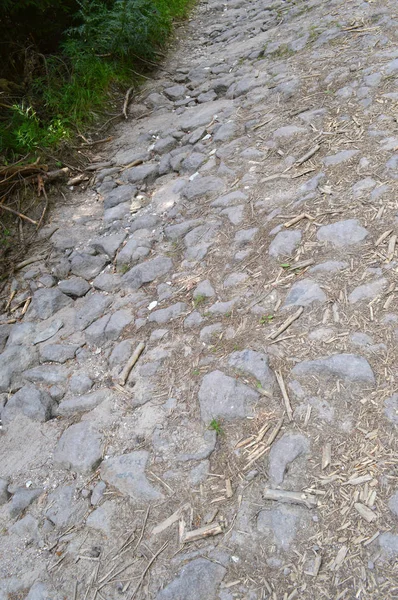 Batı Rodop Dağları Ormanı'nda, Orpheus Dağı (Bulgaristan)