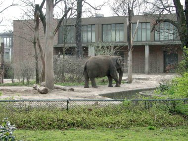 Mart 'ta Berlin Hayvanat Bahçesi 30, 2002