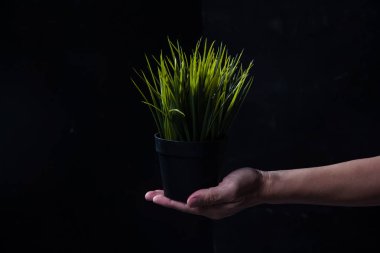 Yeşil çim ile siyah plastik sanat tasarım, işaret ve Dünya Kaydet sembolü siyah arka plan üzerine insan el konulmuştur ve doğa kavramı korumak