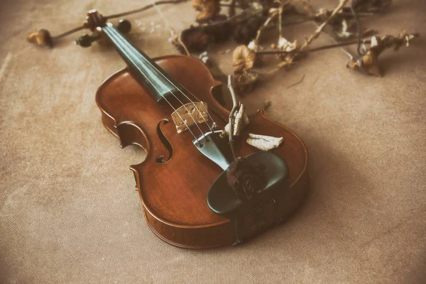 Clásico Fondo Diseño Película Antigua Violín Con Flor Seca Poner — Foto de Stock