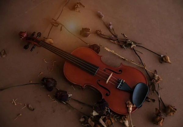 Die Klassische Geige Neben Getrocknete Blume Gelegt Auf Holzbrett Vintage — Stockfoto