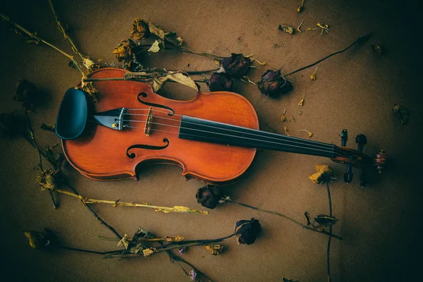 Die Klassische Geige Auf Holzbrett Inmitten Getrockneter Blume Vintage Und — Stockfoto