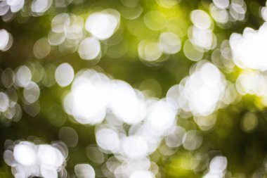 Yeşil bokeh arka plan, bulanık hafif tasarım sanat.