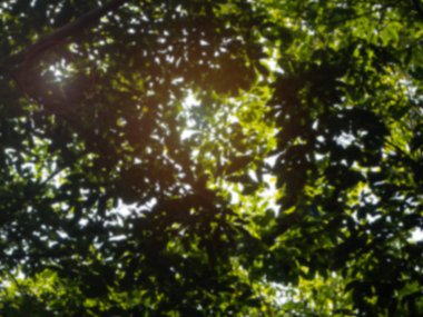 Bulanık hafif tasarım arka plan, bokeh açık renkli.