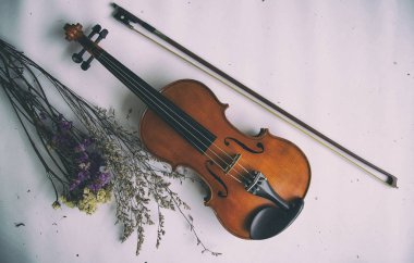 Sanat tasarım arka Klasik keman ve arka plan, vintage ve sanat tarzı üzerinde kurutulmuş çiçek buketi yanında koymak yay,