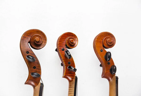 Construção Violino Scroll Pegbox Pescoço Eles São Empilhados Fundo Branco — Fotografia de Stock