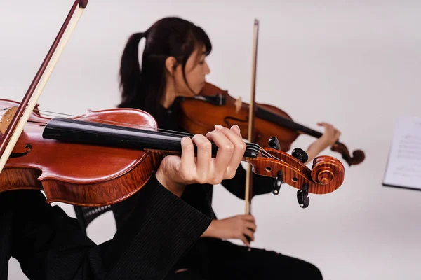 바이올린 바이올린 노래의 듀엣의 문자열에 레이디 보도의 선택적 디자인 — 스톡 사진