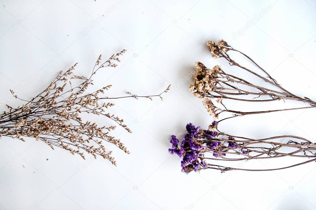 The bouquet of dried flower put on white background