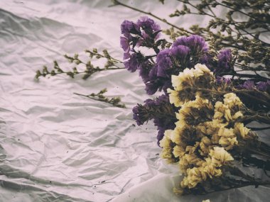 Grunge yüzey arka plan üzerinde güzel kurutulmuş çiçek soyut sanat tasarım arka plan