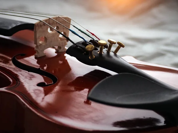 Parte Delantera Del Violín Muestra Parte Del Violín Luz Borrosa —  Fotos de Stock