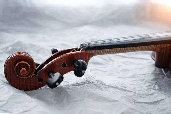Violinrolle Wirbelkasten Und Hals Auf Hintergrund — Stockfoto