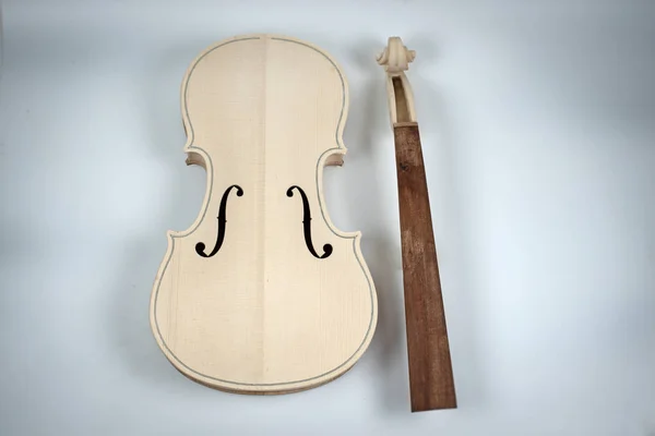 Violino Cru Colocado Meio Fundo Luz Embaçada Redor — Fotografia de Stock