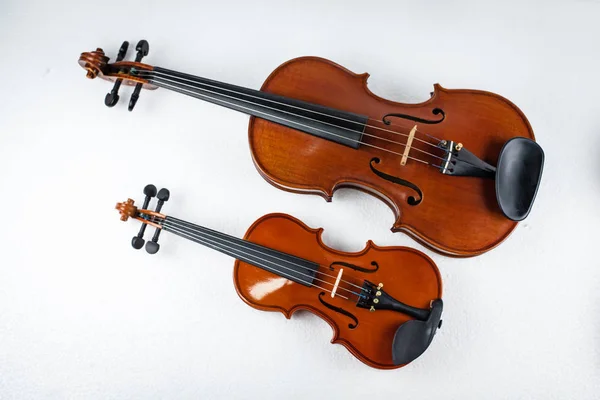 Две Скрипки Белом Фоне Показывают Разный Размер Скрипки — стоковое фото