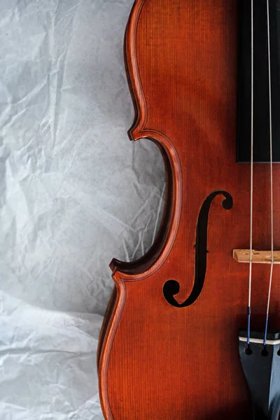 Den Halva Framsidan Violin Suddigt Ljus Runt — Stockfoto