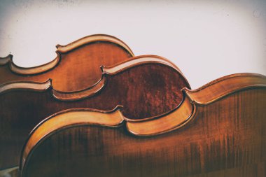 Beyaz arka plan üzerinde keman Arka yüzü.