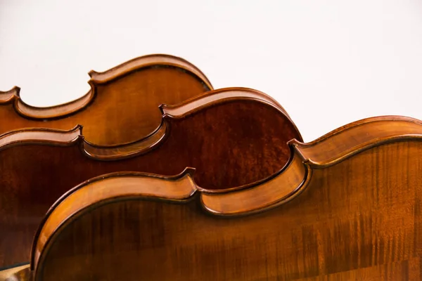 Parte Posteriore Del Violino Sfondo Bianco — Foto Stock